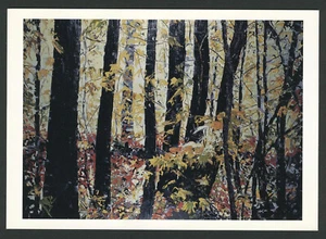 1996 TORY FOLLIARD GALLERY Postkarte Wisconsin Künstlerausstellung Show JAN SERR - Bild 1 von 2