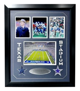 Dallas Cowboys Texas Stadium gioco autentico usato erba incorniciata collage COA Steiner - Foto 1 di 7