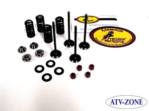 KibbleWhite Intake and Exhaust Valves with Spring Kit, Seals KX 250F 2003-2016 - Bild 1 von 2