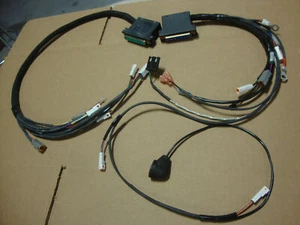 BIG DOG MOTORCYCLES MAIN WIRING HARNESS 2005 PITBULL POWER & BACKBONE HARNESS - Picture 1 of 2