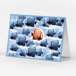 Süße FREUNDSCHAFT & LIEBE Karte, verschiedene Fische schwimmen von American Greetings + ✉ - Bild 1 von 5