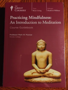 Die großen Kurse Achtsamkeit üben: Meditation 4 DVDs und Kursführer - Bild 1 von 6