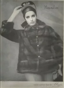 60er Jahre Umpa Pelzwerbung - Maximilian 1964 - Bild 1 von 1