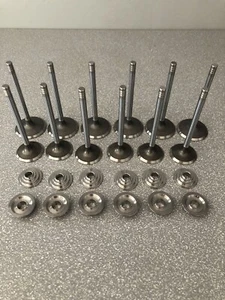 SEADOO 255 260 300 PERFORMANCE VALVE SET WITH TITANIUM RETAINERS - Bild 1 von 2