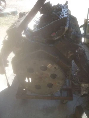 Engine 5.7L VIN R 8th Digit Gasoline Fits 96-00 CHEVROLET 2500 PICKUP 183983 Foto 1 de 4