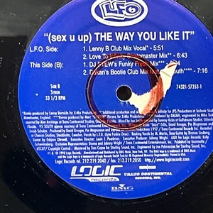 Lyte Funkie Ones – (Sex U Up) The Way You Like It BMG 1998 12" Vinyl Single - Bild 1 von 5