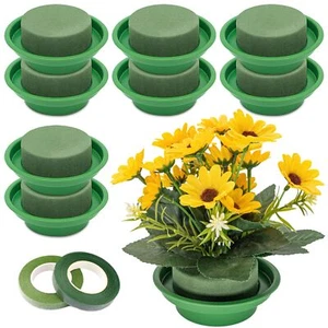 8Pcs Floral Foam Rounds in Bowls Green DIY Flower Arrangement Kit Wet Floral ... - Picture 1 of 7