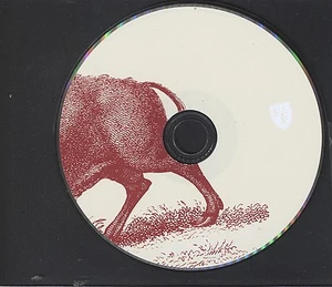 In Your Honor (disc 2) Foo Fighters Cd Only  - Picture 1 of 1