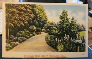 Vintage Linen Postcard Greetings From Brownsville, Md - Picture 1 of 2