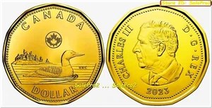 CANADA 2023 CANADIAN LOON KING CHARLES III BU RARE LOONIE $1 DOLLAR COIN UNC - Bild 1 von 2