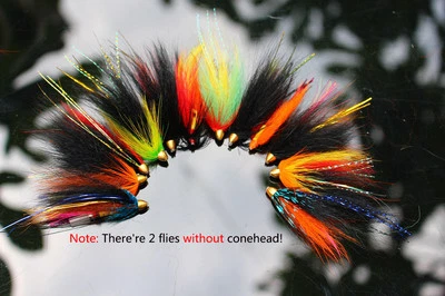 TIGOFLY 12 pcs Assorted Tube Fly Set Fly Fishing Flies Lures Salmon Flies Trout Fly
