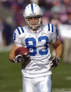 Foto Brandon Stokley 2004 de Indianápolis Colts 8x10 - Imagen 1 de 1