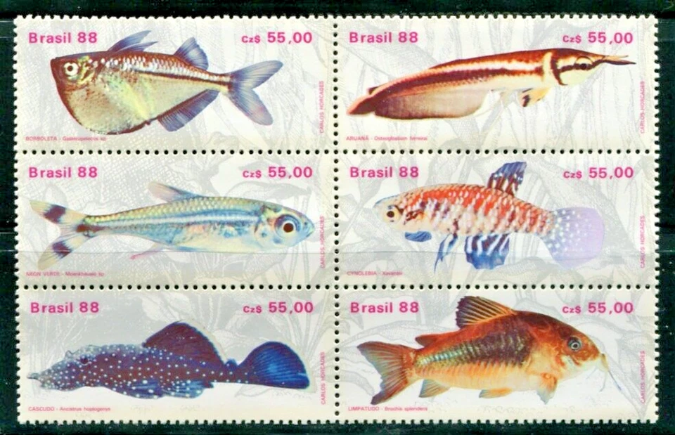 BRAZIL 1988 - Stamp Brazilian Fishes Aquarism Tropical Fauna Animal - MNH - Image 1 of 1