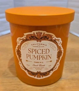 Leoben Co. Spiced Pumpkin Scented Candle 9 oz Single Wick Vegan Wax USA Made - Picture 1 of 8