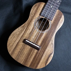 VOX VUP-33-SBL Concert Ukulele, Rechargeable Preamp, Special Price, Used - Picture 1 of 8