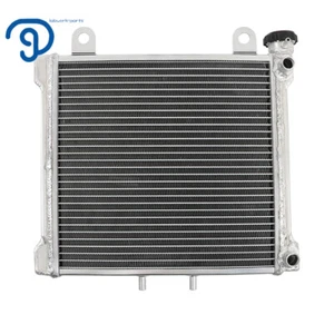 709200145 For Can-Am Bombardier DS650 01-05 DS650X 04-07 DS650 Baja Radiator - Picture 1 of 10