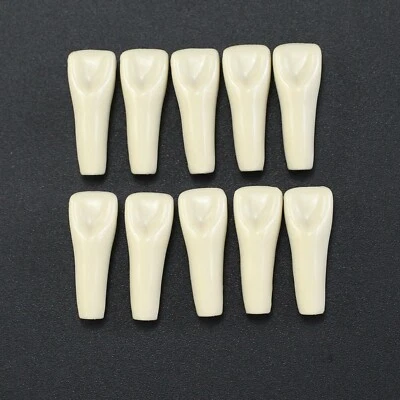 Columbia 860 10pcs/lot Individual Dental Typodont Teeth Replacement