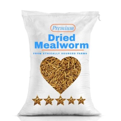 INVIGORTEX 1L Premium Dried Mealworms for Pets Sourced from UK - 1 Litres (1L) Bag