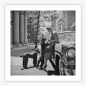 Inga Lindgren And Poodles (Matte or Gloss Poster/Print) #12832 - Bild 1 von 3
