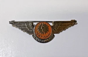 National Airlines Jr. Stewardess Wings Button Badge 2 1/4" Pinback Vintage - Picture 1 of 2