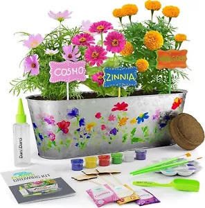 Dan & Darci Farbe und Pflanze Blumen Anzuchtset - Bild 1 von 7