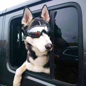Hundebrille Sonnenbrille Winddicht UV-Schutz für mittelgroße große Hunde Brille - Bild 1 von 14