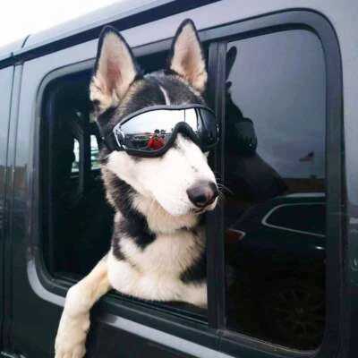 Dog Goggles Sunglasses Windproof UV Protection For Medium Large Dogs Glasses - Image 1 of 4