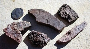 Fossil Dinosaur Bones • 5 Bagged Specimens w/ Info Cards - Picture 1 of 5