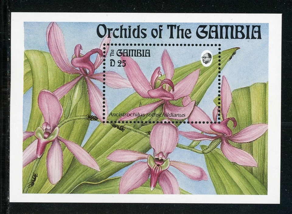 Gambia Scott #1522 MNH S/S Flores Orquídeas FLORA CV $6+ Foto 1 de 1