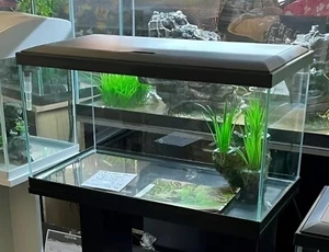 * BRAND NEW * Glass Fish Tank Aquarium LED Light, Heater, Filter & More Included - Picture 1 of 10