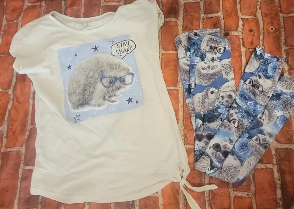 Justice Girls Hedgehog Set Sz 8 Guc Shirt & Leggings - Image 1 of 1