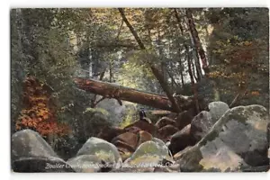 Postal antigua Rieder de Boulder Creek, Bracken Brae, CA condado de Santa Cruz de la década de 1910 - Imagen 1 de 2
