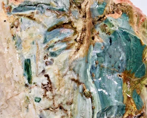 1+lb Gary Green Jasper Bog Wood Larsonite Caldera Freedom Stone Rough Natural - Picture 1 of 11