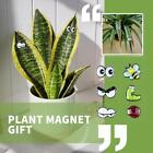 Cute Plant Magnets Eyes Bees For Potted-Plants Safe HOT 2023 Ornaments SALE B5P8
