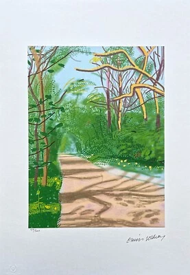 DAVID HOCKNEY - La llegada de la primavera a Woldgate no. 14 - Firmado, 94/500 Foto 1 de 4