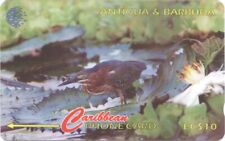 Antigua and Barbuda Caribbean 1996 Green Backed Heron 104CATB 10 EC$