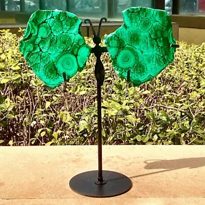 1.59+1.49LB Natural crystal Malachite wing Crystal Healing + brackets - Picture 1 of 12