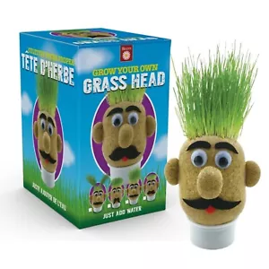 Grow Your Own Grass Head Kids Science Fun Toy Activity Plants Just Add Water - Picture 1 of 5