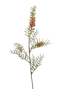 (01532-34019) ARTIFICIAL FLOR RAMA HOJAS GREVILLEA VERDE MARRON - Imagen 1 de 2