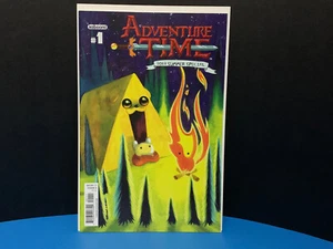 Adventure Time Comic Kaboom! 2013 Summer Special #1 July 2013 VERY NICE - Imagen 1 de 8