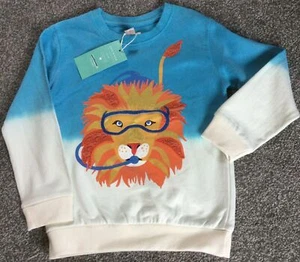 BOYS SWEATSHIRT - Ex Chainstore. - 5-6 Years Lion Motif - NEW - Picture 1 of 6