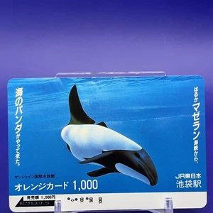 JR Eastern Japan Orange Card Dolphin Made In Japan F/S #1 - Picture 1 of 4