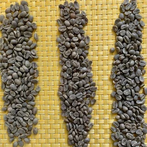 Guatemala Gourmet Premium Green Coffee Beans Raw Unroasted Specialty Grade - Picture 1 of 7