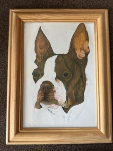 Framed French Bulldog Print - Picture 1 of 3