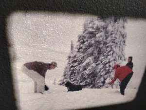 16mm Film 1950s PNW Christmas and Skiing Vintage Dress, Cars, Dog Playing - Bild 1 von 14
