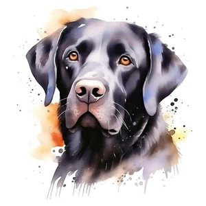 Autoaufkleber Sticker Labrador Aufkleber - Picture 1 of 1