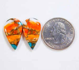 100% Natural Kingman Spiny Oyster Turquoise Pair Pear Cabochon Gemstone BU=145 - Imagen 1 de 6