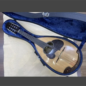 Suzuki M-30 Mandolin with Hard Case Excellent Condition Playable - Picture 1 of 6
