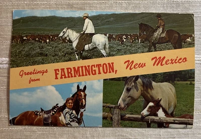 Vintage Postcard Greetings From Farmington NM New Mexico Horses Cowboys c1971 - Image 1 of 4
