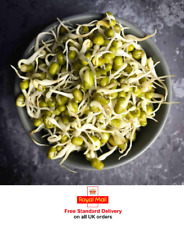 25g or 50g or 75g SPROUTING MUNG BEANS IDEAL FOR CHINESE STIR FRY OR SALADS =